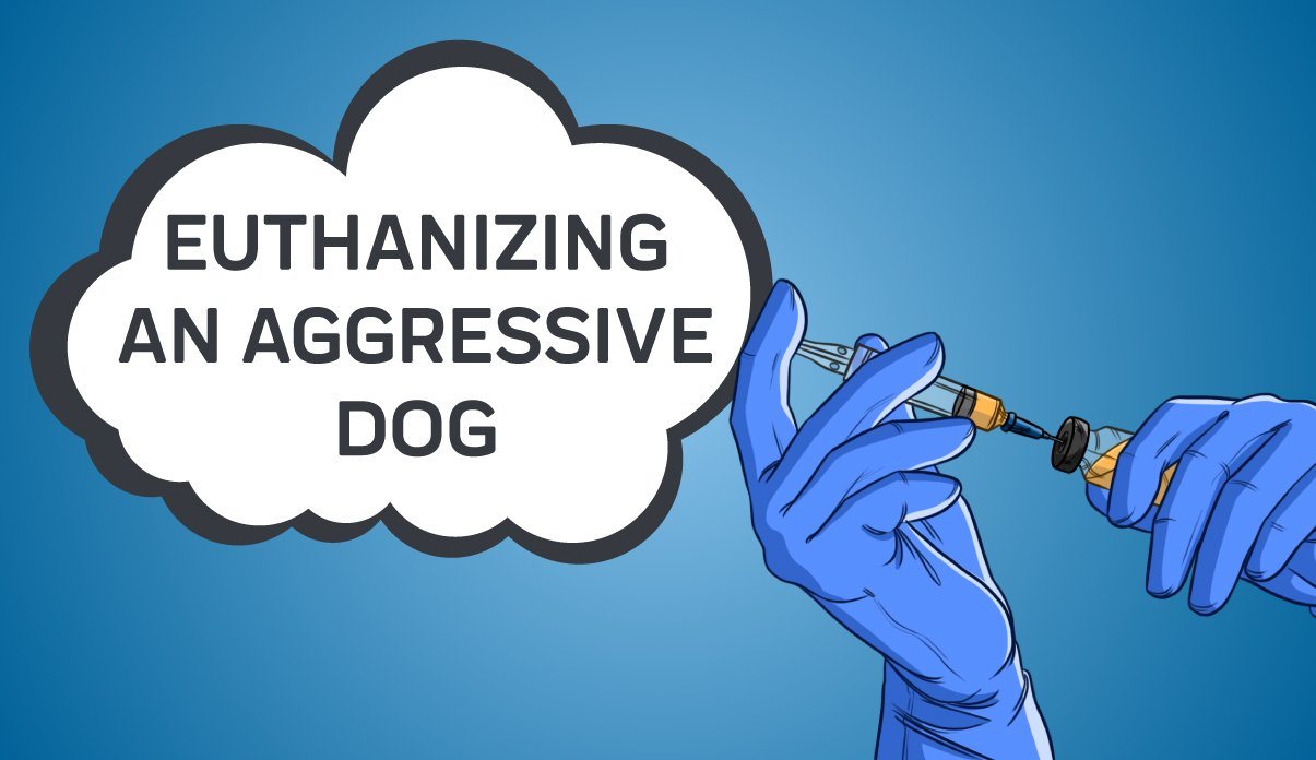 When Is It Time to Put Down a Dog Who is Aggressive to People