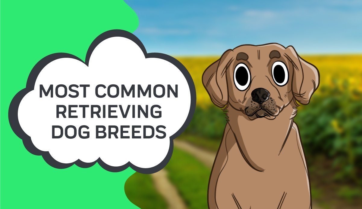 Common breeds best sale