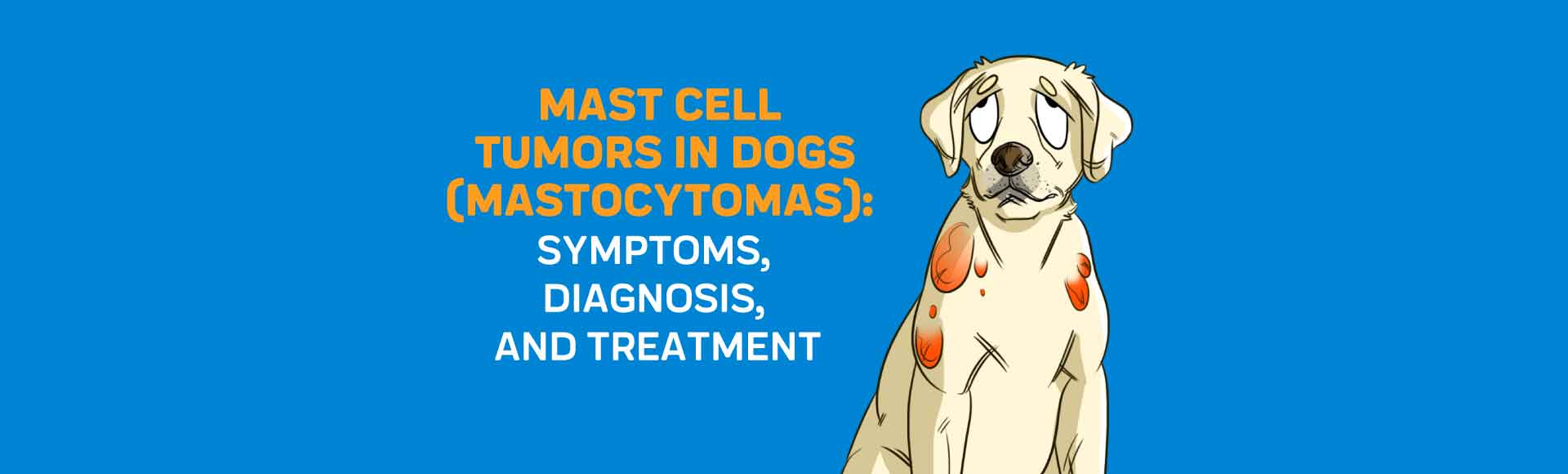 mast cell tumor in dogs