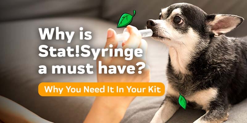 http://www.innovetpet.com/cdn/shop/articles/whyisstat_syringeamustforalldogownersbasicfirstaidtool_mainimage2_800x400_6b365f63-2ba8-45f2-9e20-c3cf7e0b4295.jpg?v=1676936523