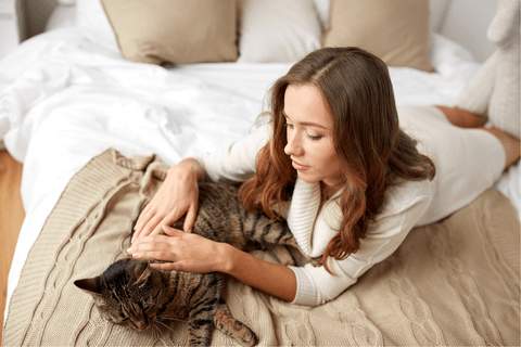 Managing Feline Asthma Using Hemp Oil