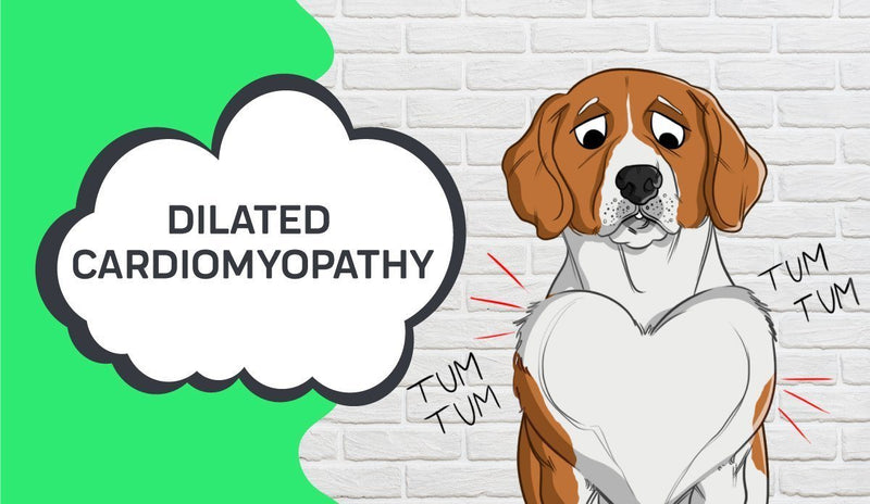 Dilated Cardiomyopathy