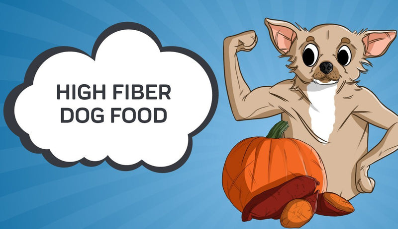 High Fiber Dog Food