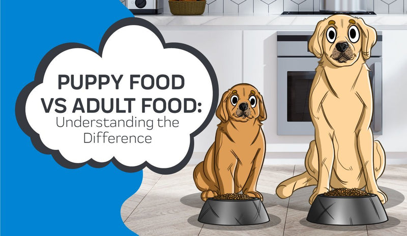 Understanding the Difference Between Puppy Food VS Adult Food