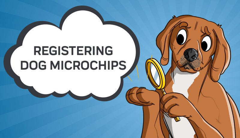 Registering Dog Microchips