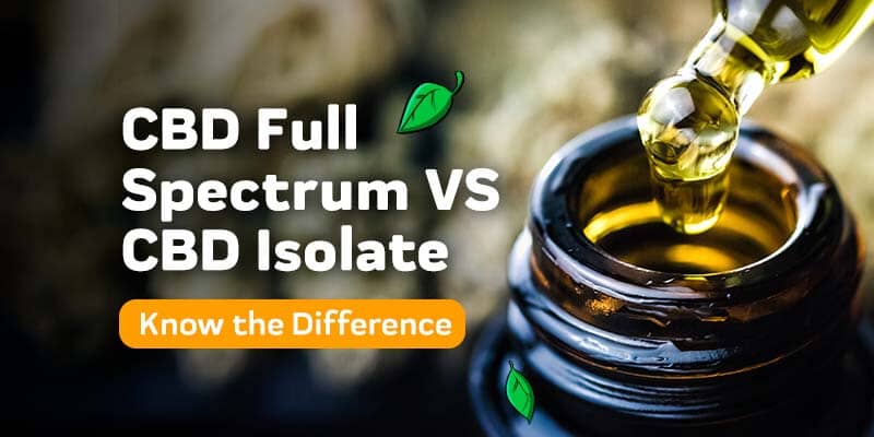 Full Spectrum CBD VS CBD Isolate