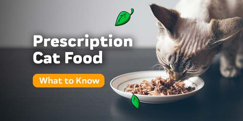 Prescription Cat Food