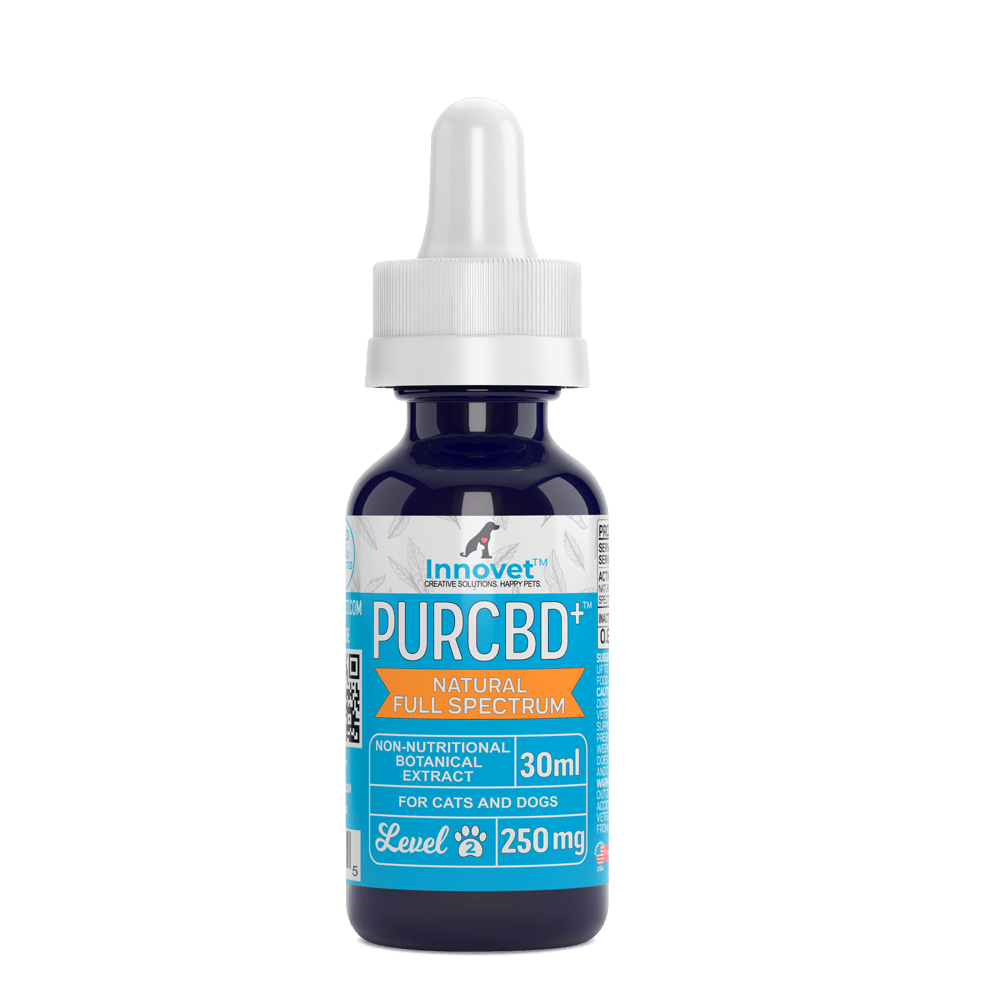 CBD Oil for Cats