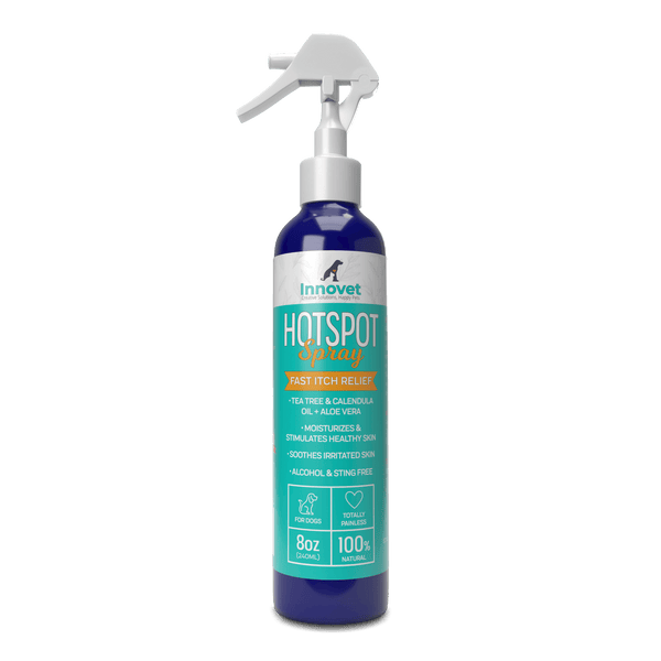 Hondrolife Spray - Premium Ingredients - Premium Spray with Gentle Heating  Effect - 100ml Package List: 1 x : : Health & Personal Care